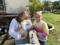 Img 6923
