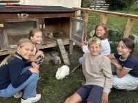 Img 6956